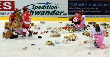 Teddy Bear Toss